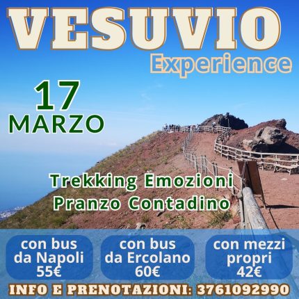 vesuvio experience by mr.campania